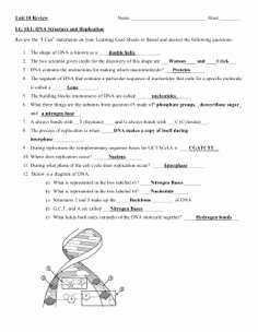 Protein Synthesis Review Worksheet Elegant During Protein Synthesis the Amino Acid Sequence is