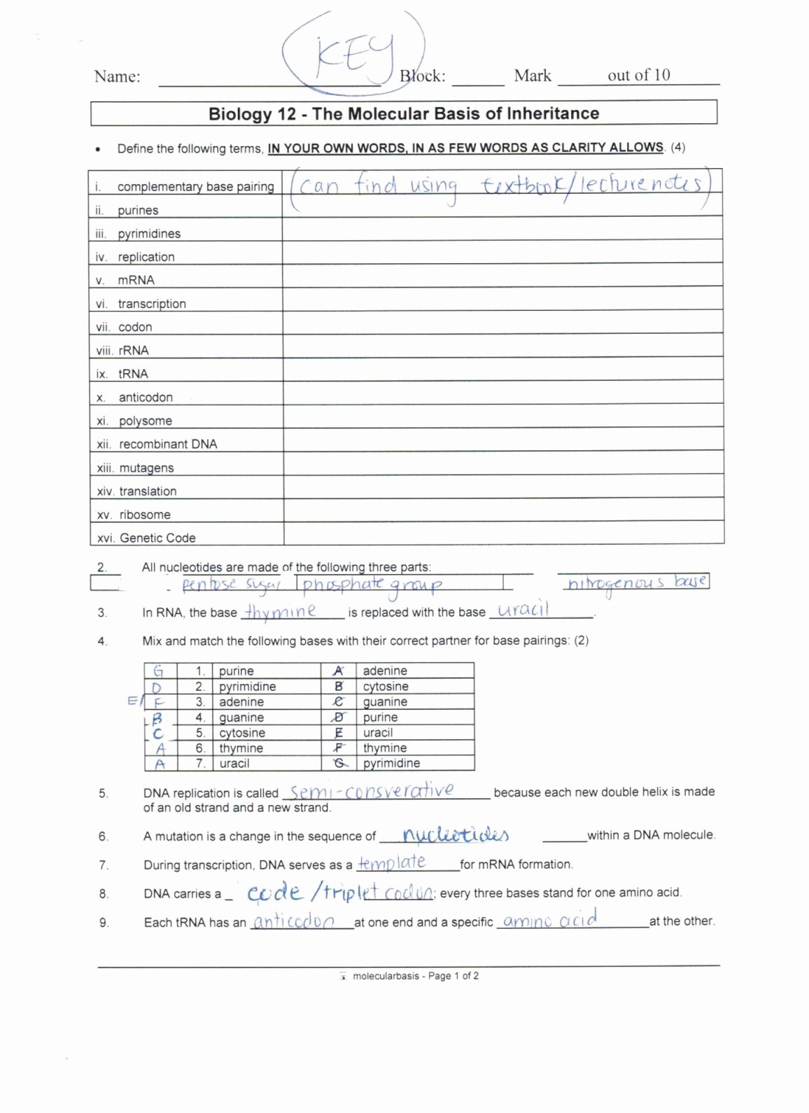 Protein Synthesis Review Worksheet Fresh Dna Review Worksheet Answers