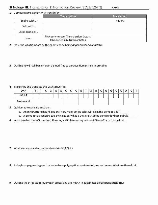 Protein Synthesis Review Worksheet Fresh Protein Synthesis Worksheet