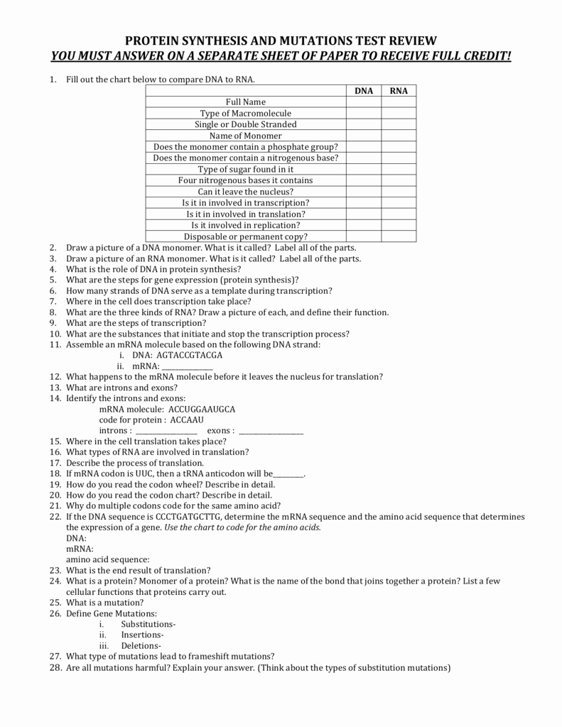 Protein Synthesis Review Worksheet Inspirational Protein Synthesis Test Review