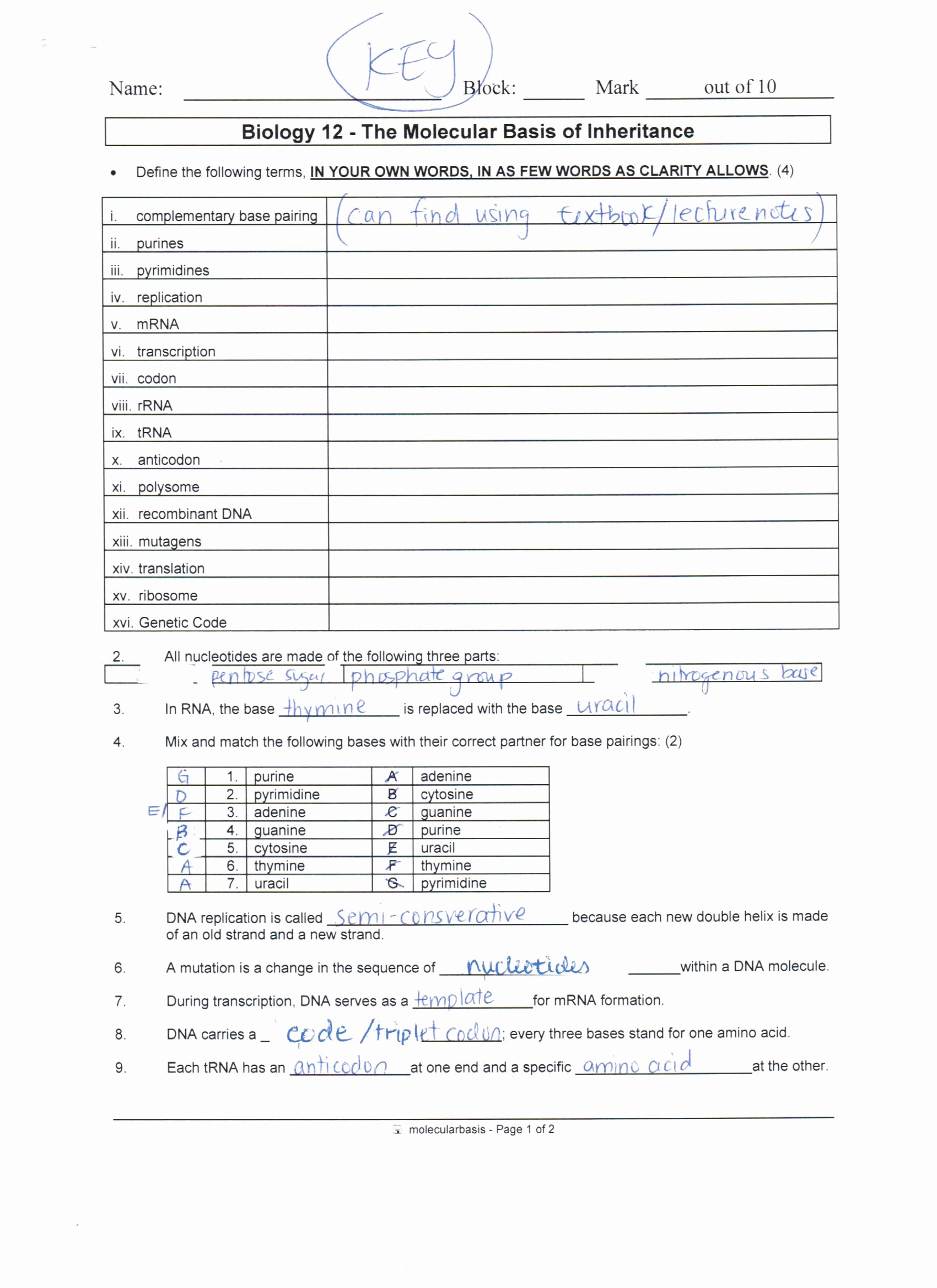 Protein Synthesis Review Worksheet Lovely Answer Key Dna Protein Synthesis and Mutations Review