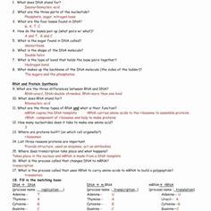 Protein Synthesis Review Worksheet Lovely Free 2nd Grade Reading Prehension Worksheets Multiple