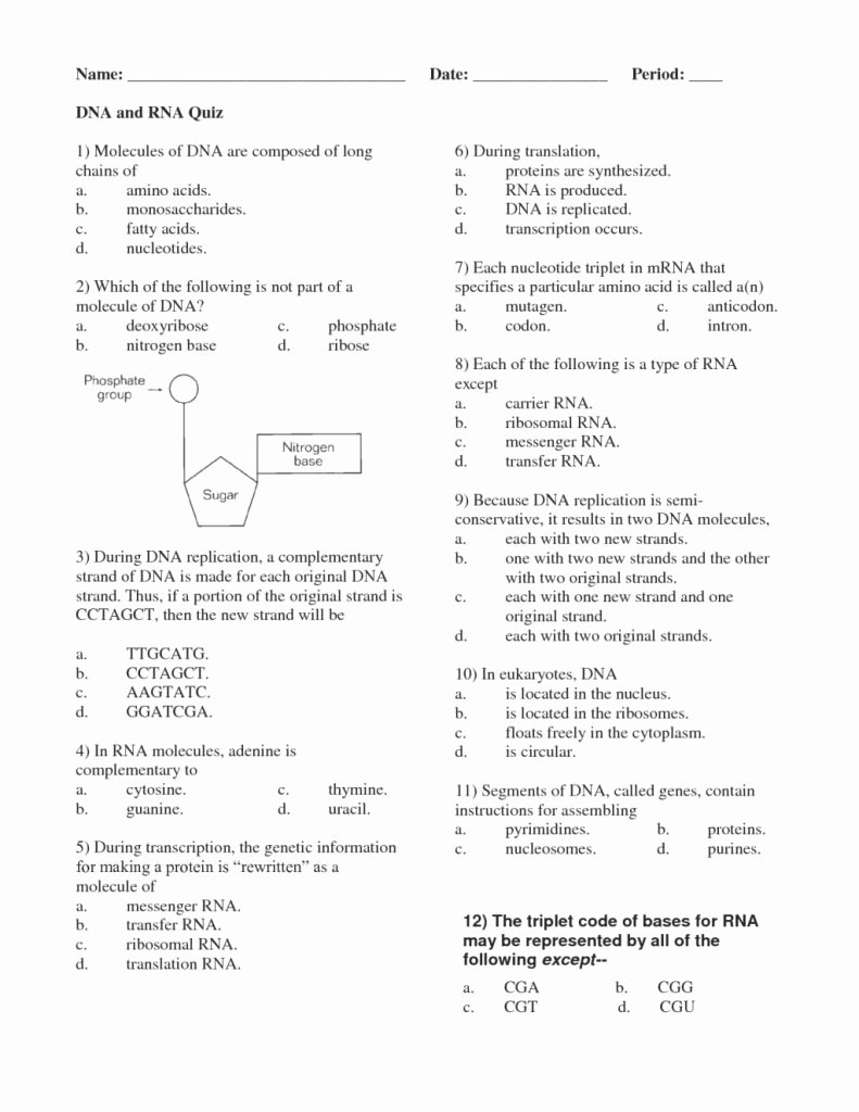 Protein Synthesis Review Worksheet Luxury Simple Cursive Writing Worksheets Likable Vocabulary
