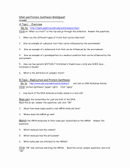 Protein Synthesis Review Worksheet New Studylib Essys Homework Help Flashcards Research