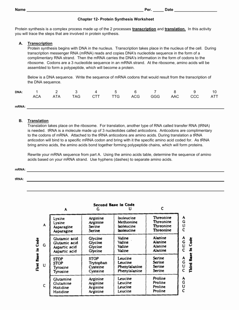 Protein Synthesis Worksheet Answer Key Beautiful Protein Synthesis Worksheet