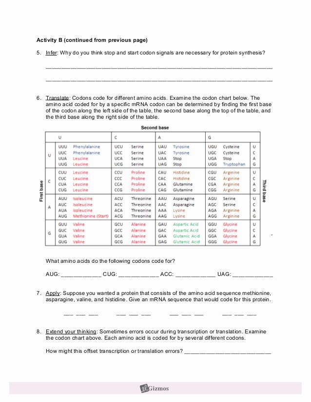 Protein Synthesis Worksheet Answer Key Inspirational Rna Protein Synthesisse
