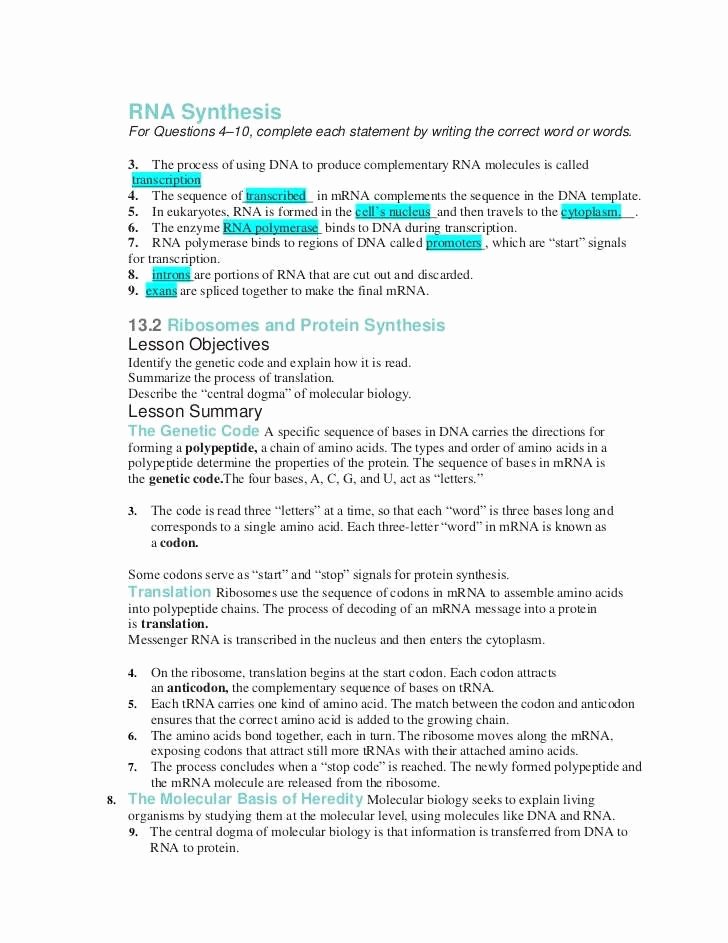 Protein Synthesis Worksheet Answer Key Lovely Dna and Protein Synthesis Worksheet Answers