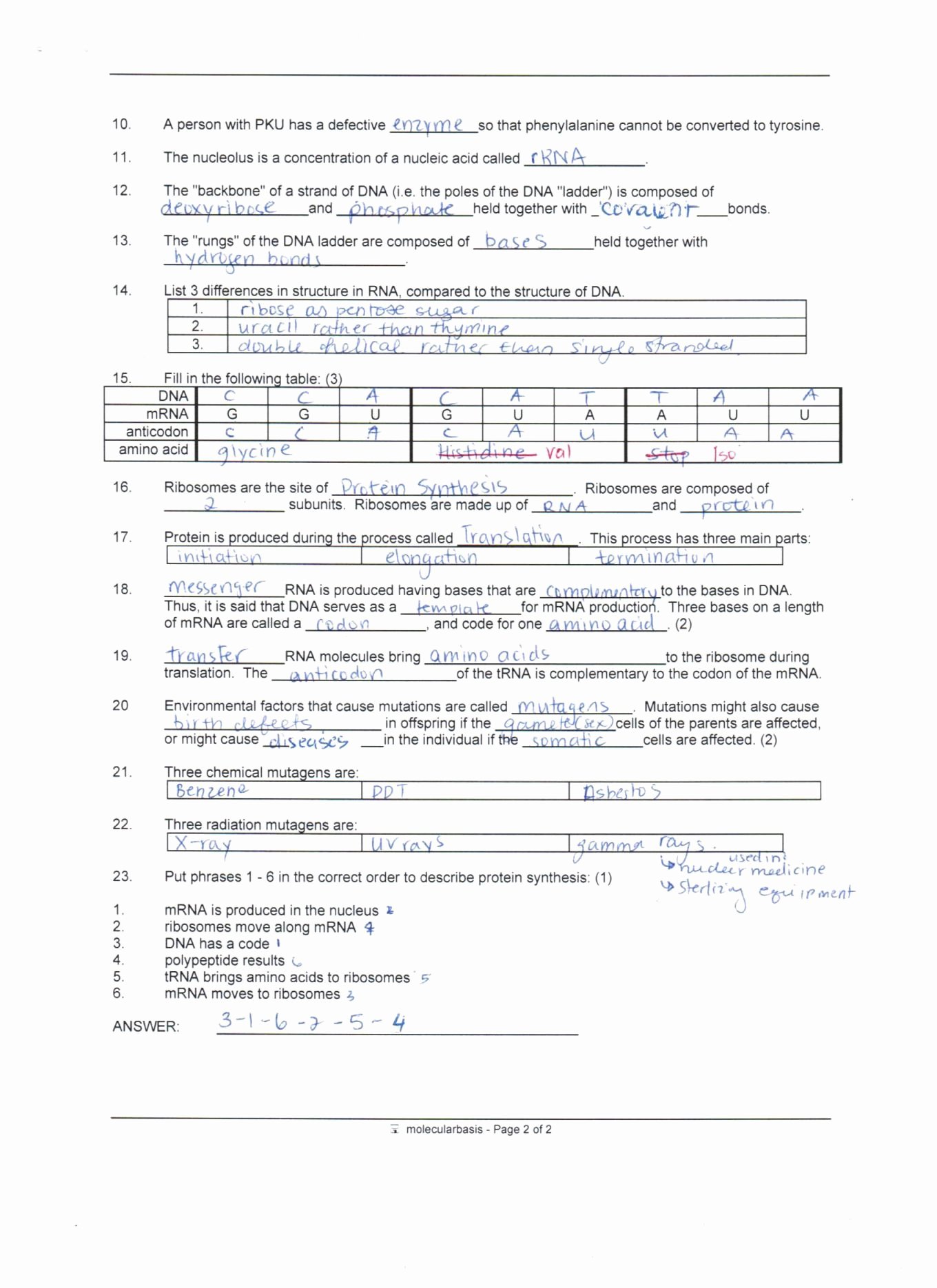 Protein Synthesis Worksheet Answers Beautiful Protein Synthesis Worksheet Answer Key Part B