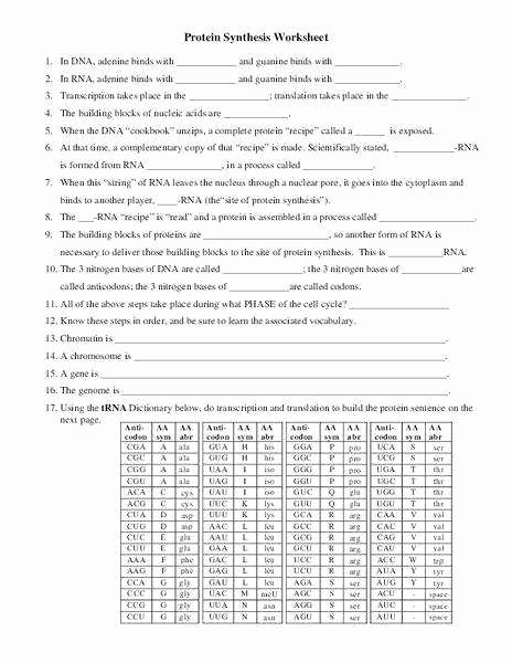 Protein Synthesis Worksheet Answers Lovely Protein Synthesis Worksheet