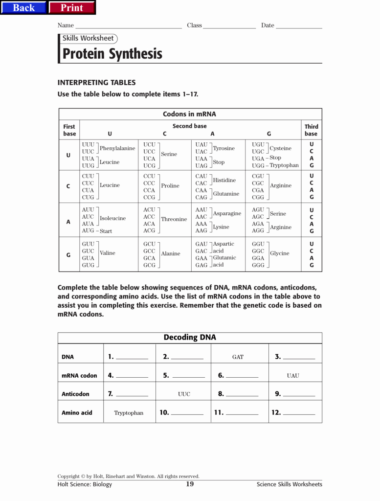 Protein Synthesis Worksheet Answers Luxury Protein Synthesis Mr Hartan S Science Class