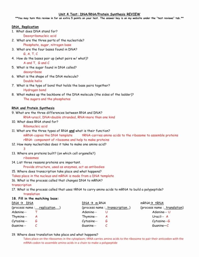 Protein Synthesis Worksheet Answers New Protein Synthesis Practice Worksheet