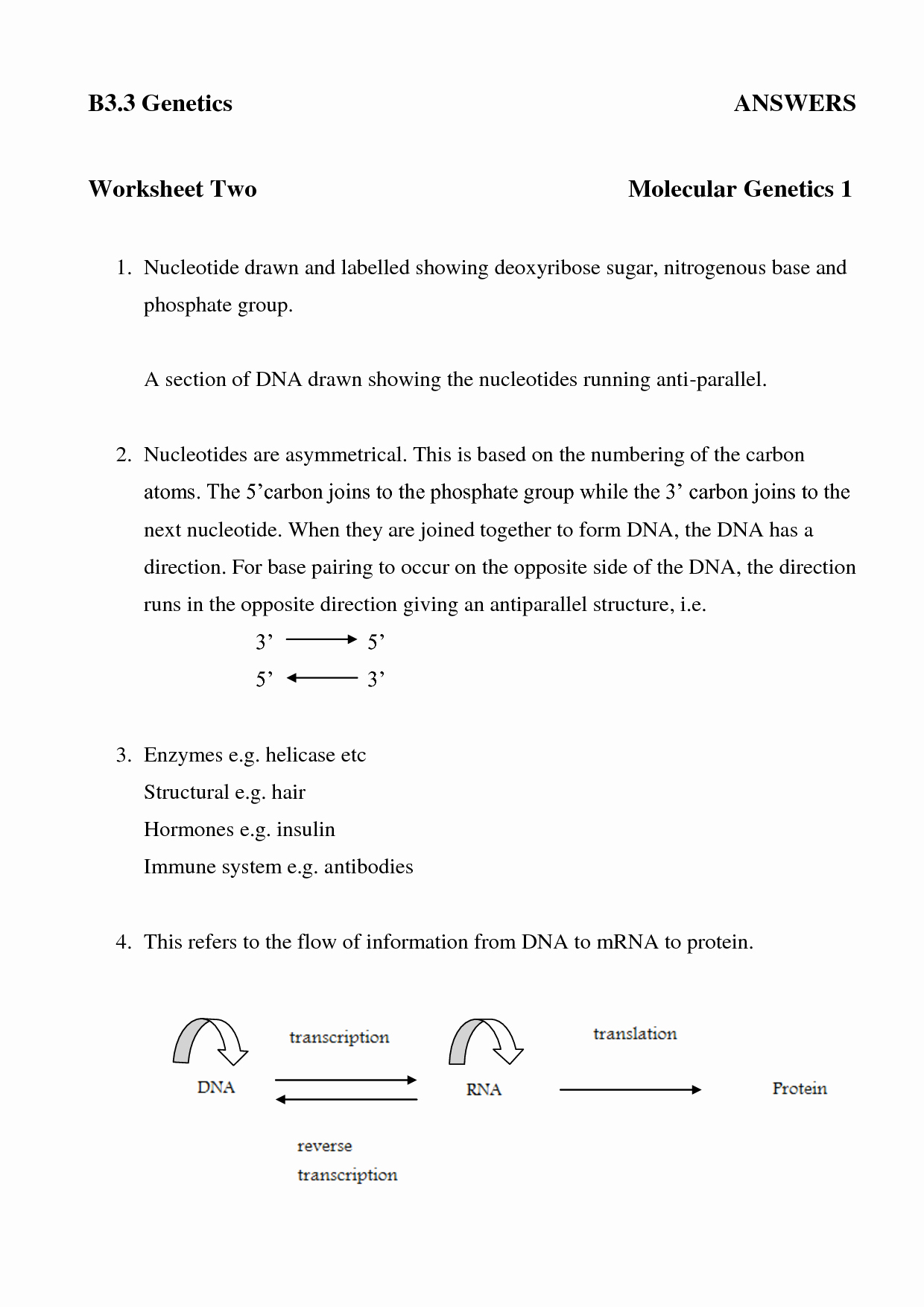 Protein Synthesis Worksheet Answers Unique 14 Best Of Dna Structure Worksheet High School