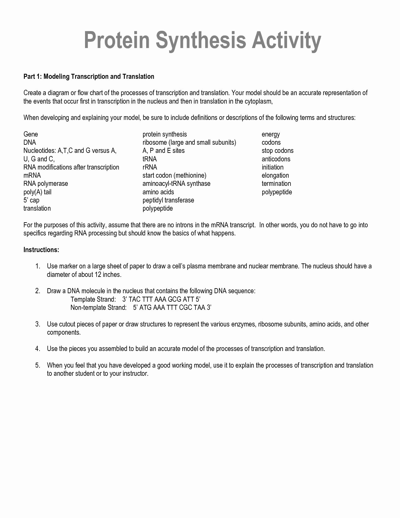 Protein Synthesis Worksheet Answers Unique Dna Rna and Protein Synthesis Worksheet Answer Key