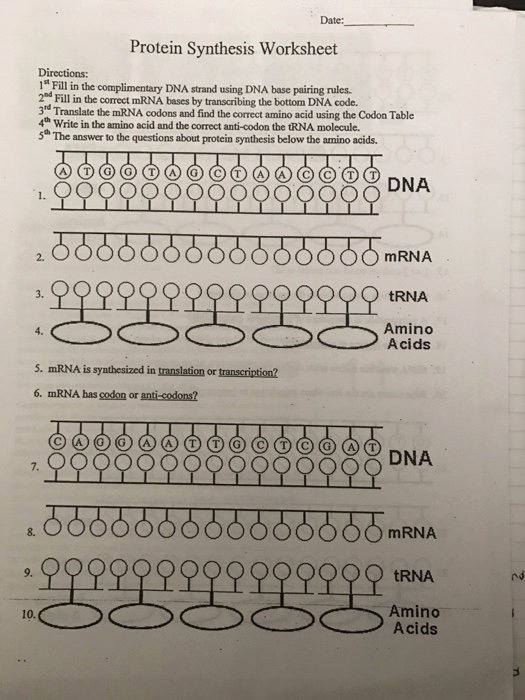 Protein Synthesis Worksheet Answers Unique solved Date Protein Synthesis Worksheet Directions 1&quot; F