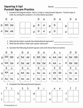 Punnett Square Practice Problems Worksheet Fresh Punnett Square Practice by Getting Nerdy with Mel and
