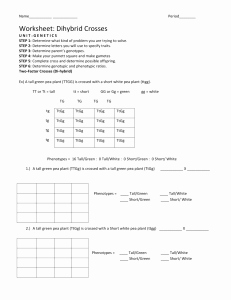 Punnett Square Practice Problems Worksheet Fresh Worksheet Dihybrid Crosses