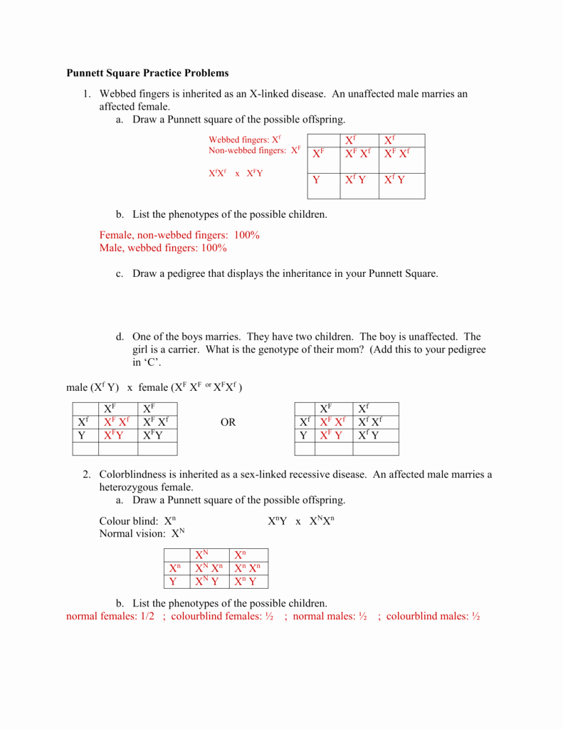 Punnett Square Practice Problems Worksheet New Linked Worksheet Answers