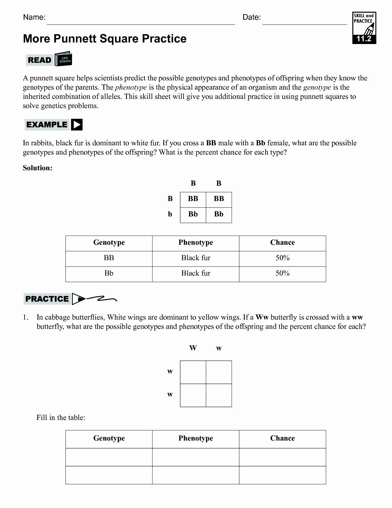 Punnett Square Practice Problems Worksheet Unique 15 Best Of Punnett Square Worksheet Answer Key