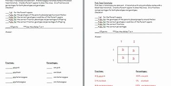 Punnett Square Practice Worksheet Answers Best Of Punnett Square Practice Wor by the Science Lady