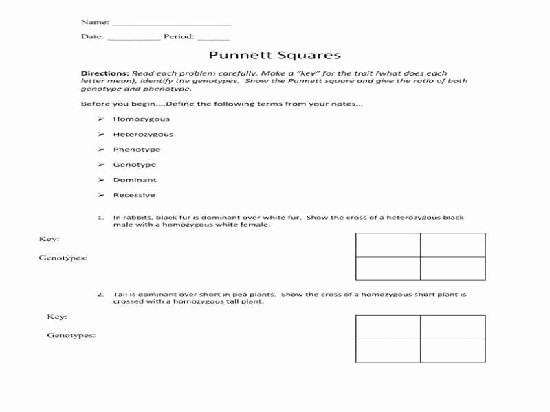 Punnett Square Practice Worksheet Answers Best Of Punnett Square Worksheet Answers