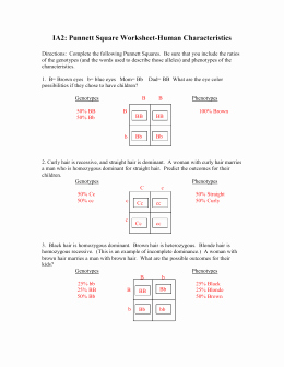Punnett Square Practice Worksheet Answers Elegant Punnett Square Worksheet 1