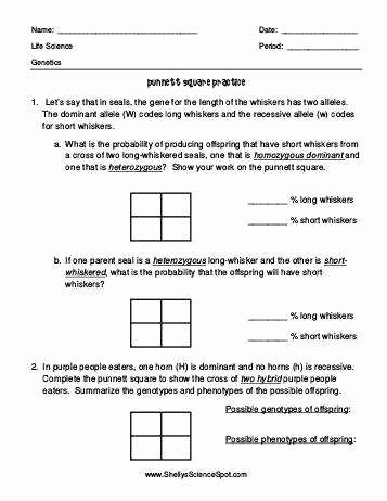 Punnett Square Practice Worksheet Answers Inspirational Punnett Square Practice Worksheet with Answers