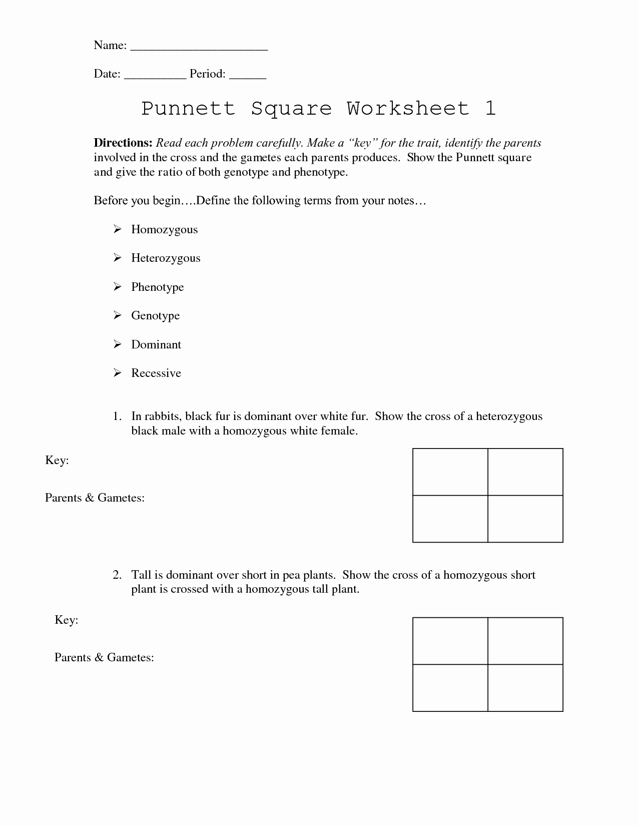 50 Punnett Square Practice Worksheet