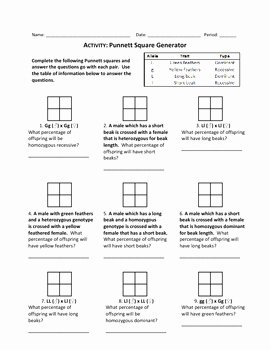 Punnett Square Practice Worksheet Awesome Punnett Square Generator Wo by Haney Science