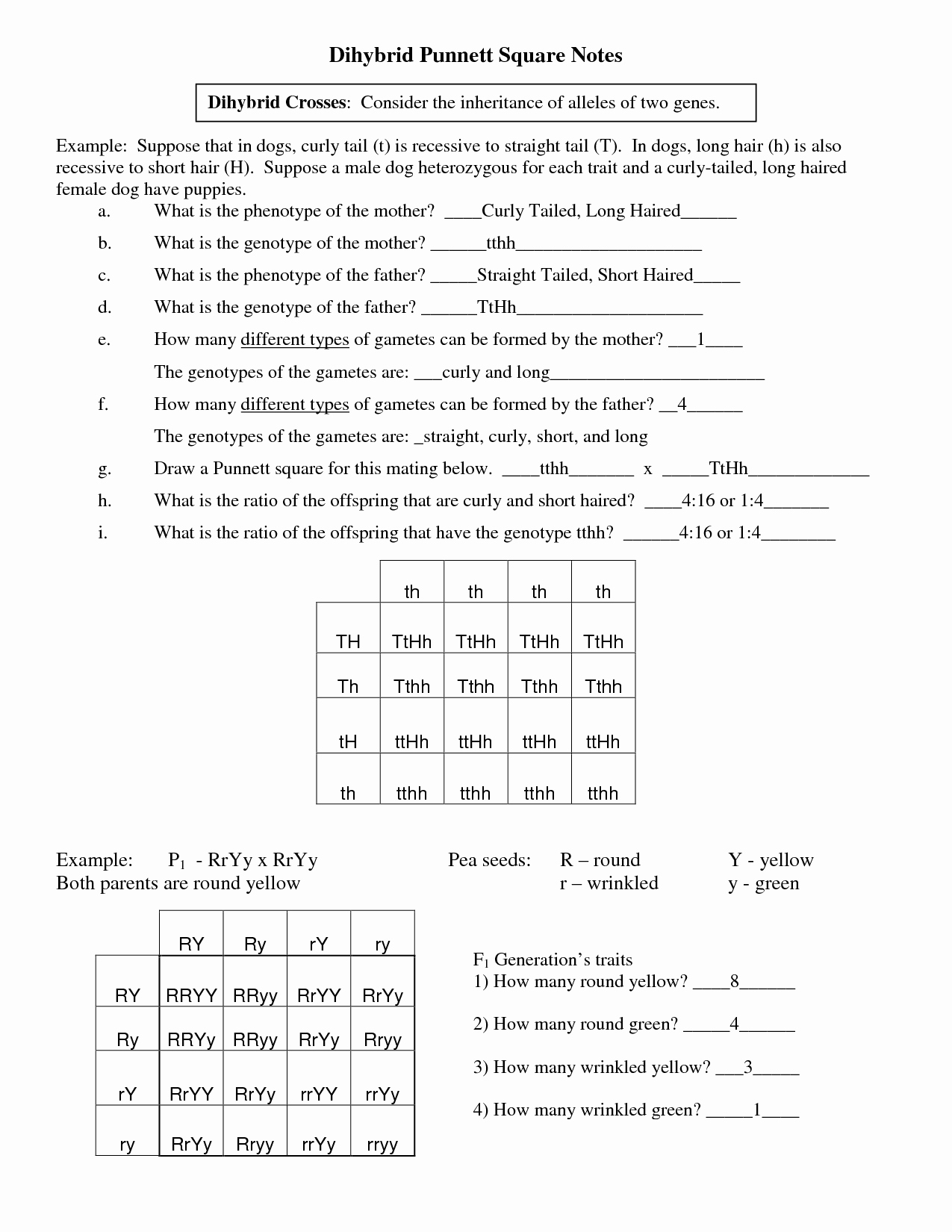 Punnett Square Practice Worksheet Beautiful 15 Best Of Dihybrid Cross Worksheet Answers