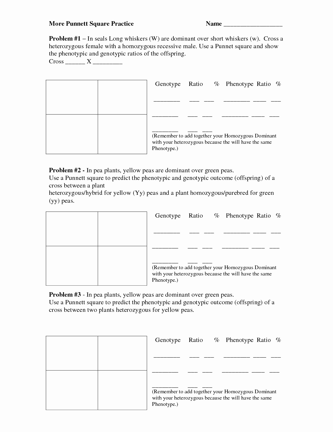 50 Punnett Square Practice Worksheet