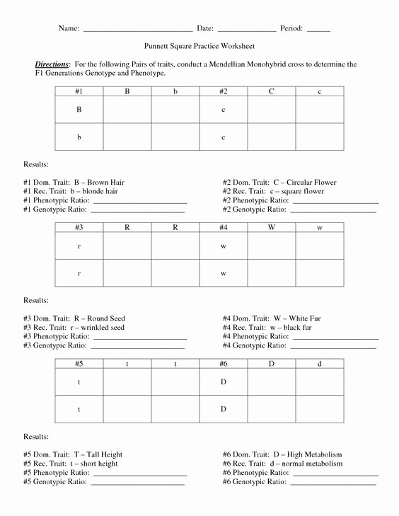 Punnett Square Practice Worksheet Fresh Worksheets Crosses and Dates On Pinterest
