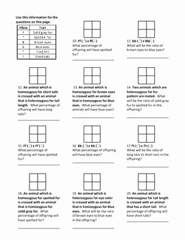 Punnett Square Practice Worksheet Inspirational Genotypes and Punnett Square Worksheets by Haney Science