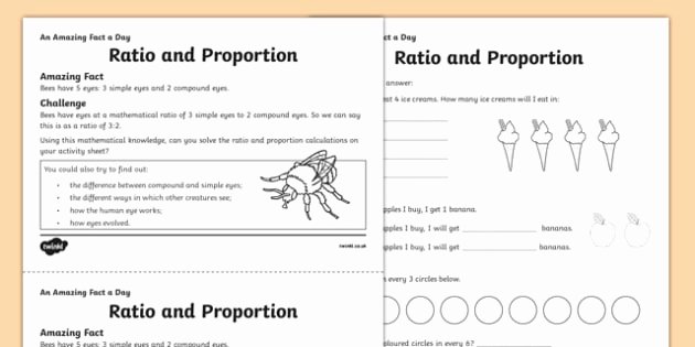 Ratio and Proportion Worksheet Beautiful Ratio and Proportion Worksheet Activity Sheet Amazing