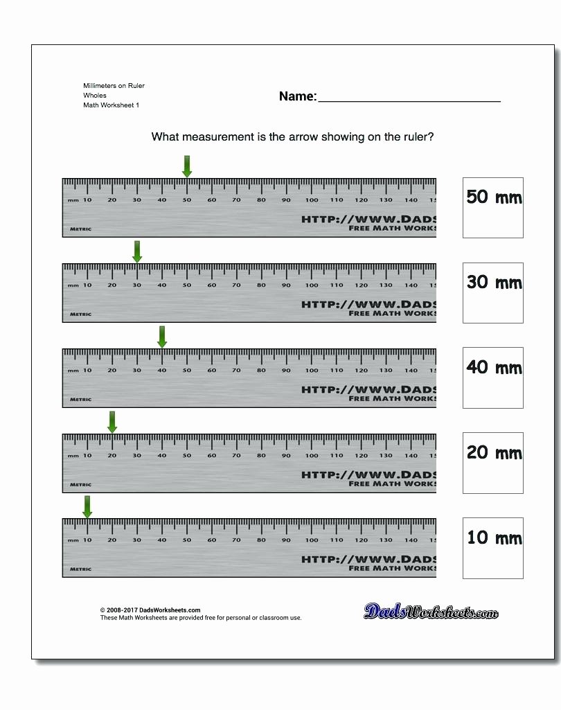 Reading A Metric Ruler Worksheet Awesome Reading A Metric Ruler Worksheet the Best Worksheets Image