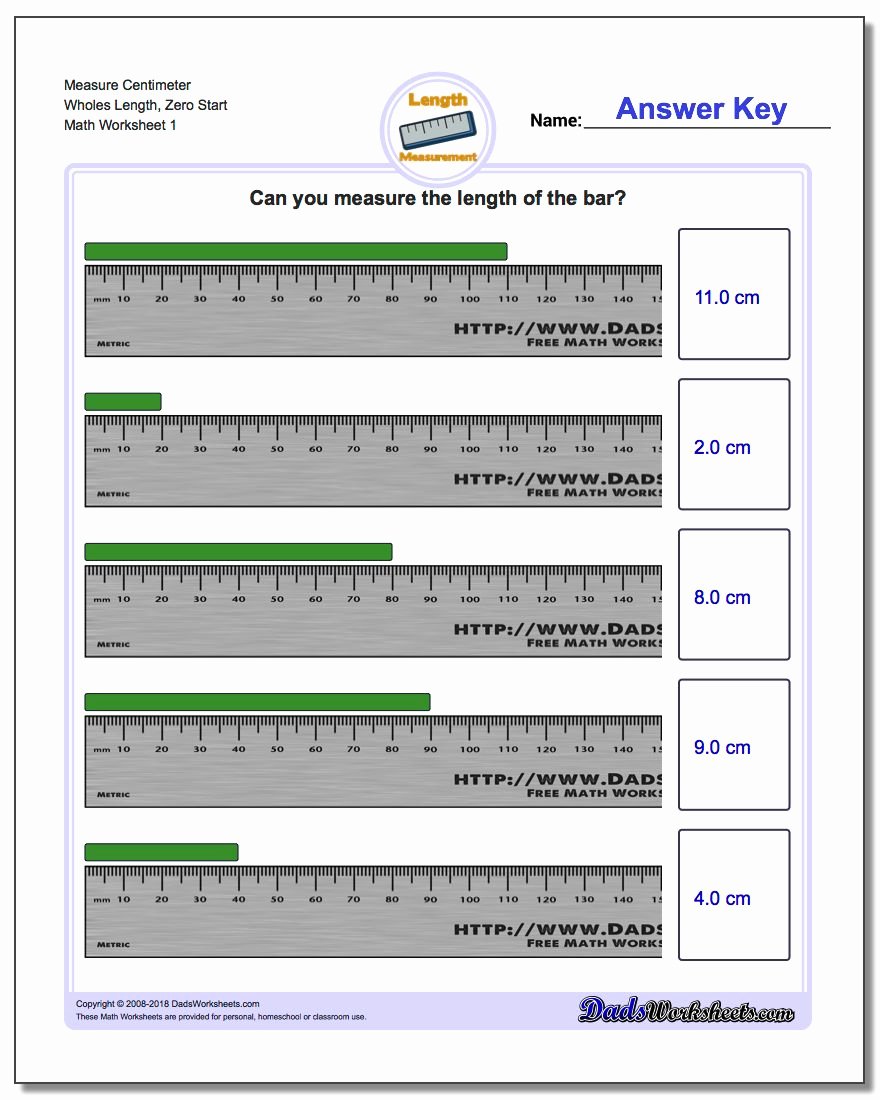 Reading A Metric Ruler Worksheet Fresh Metric Measurement
