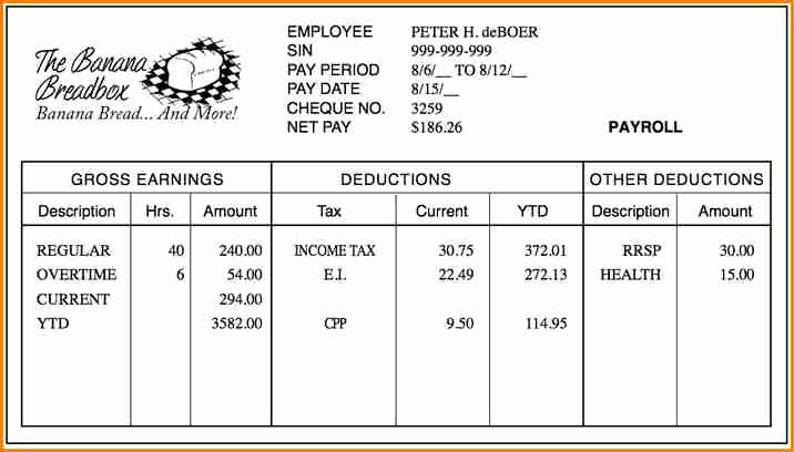 Reading A Pay Stub Worksheet