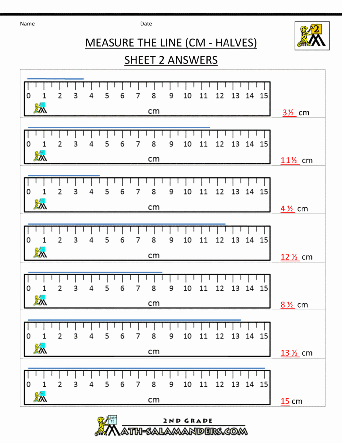 Reading A Tape Measure Worksheet Luxury How to Read A Tape Measure Worksheet the Best Worksheets
