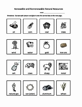 Renewable and Nonrenewable Resources Worksheet Awesome Renewable and Nonrenewable Resources by Annette Hoover