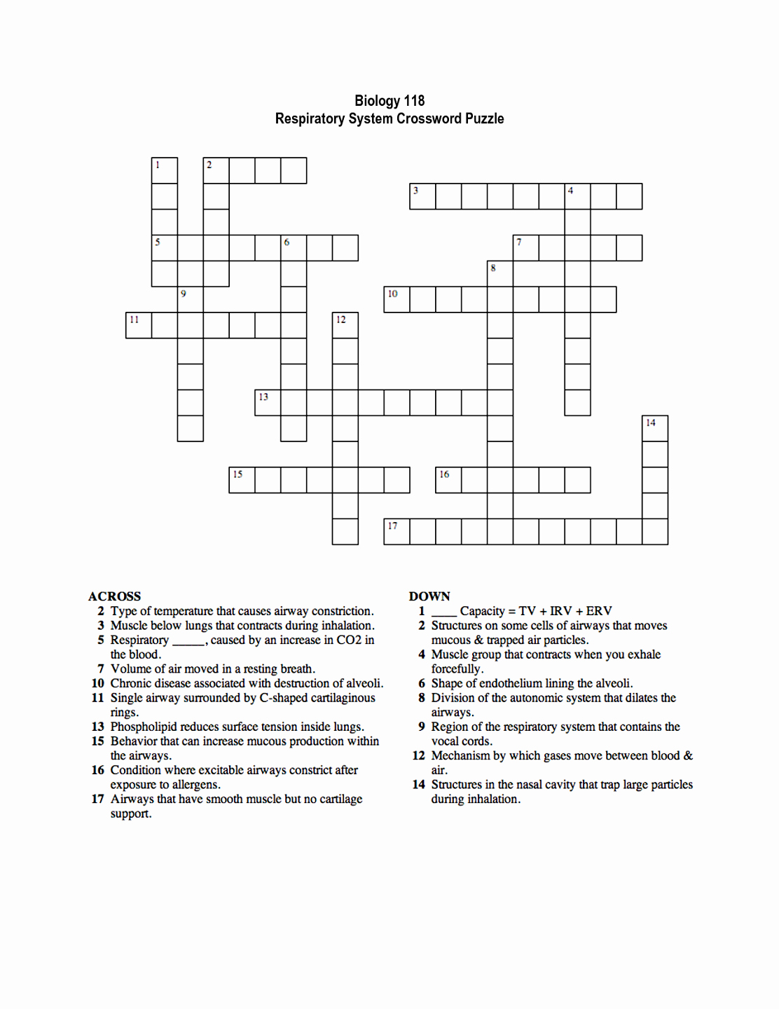 Respiratory System Worksheet Answer Key Best Of Respiratory System Crossword Puzzle