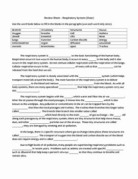 Respiratory System Worksheet Answer Key Elegant Review Sheet Respiratory System Cloze Worksheet by