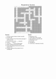Respiratory System Worksheet Answer Key Fresh Respiratory System Crossword Puzzle Answers 7th 8th