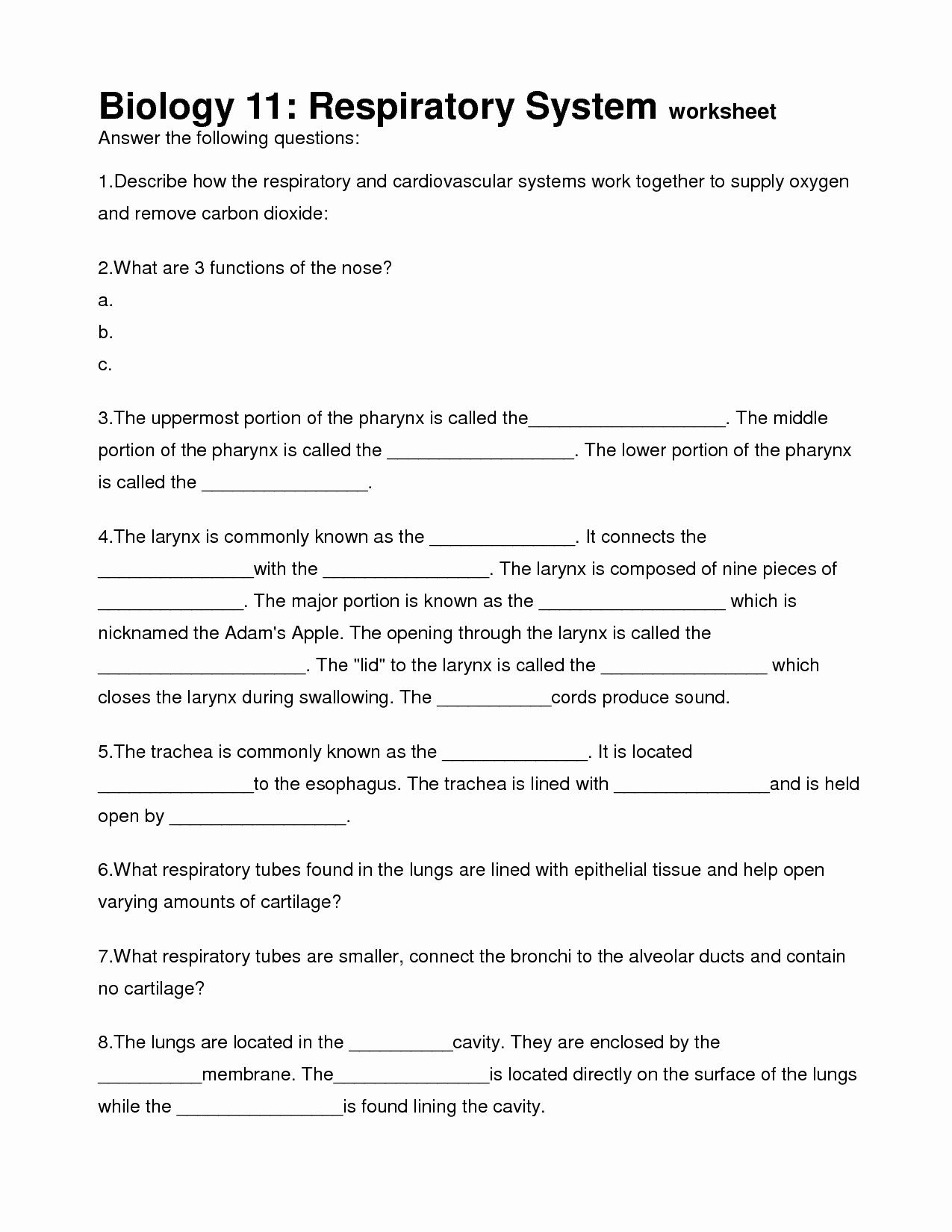 Respiratory System Worksheet Answer Key Fresh Week 12 Synthesis and Cellular Respiration Biome