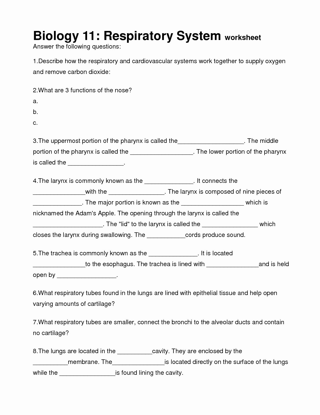 50 Respiratory System Worksheet Answer Key