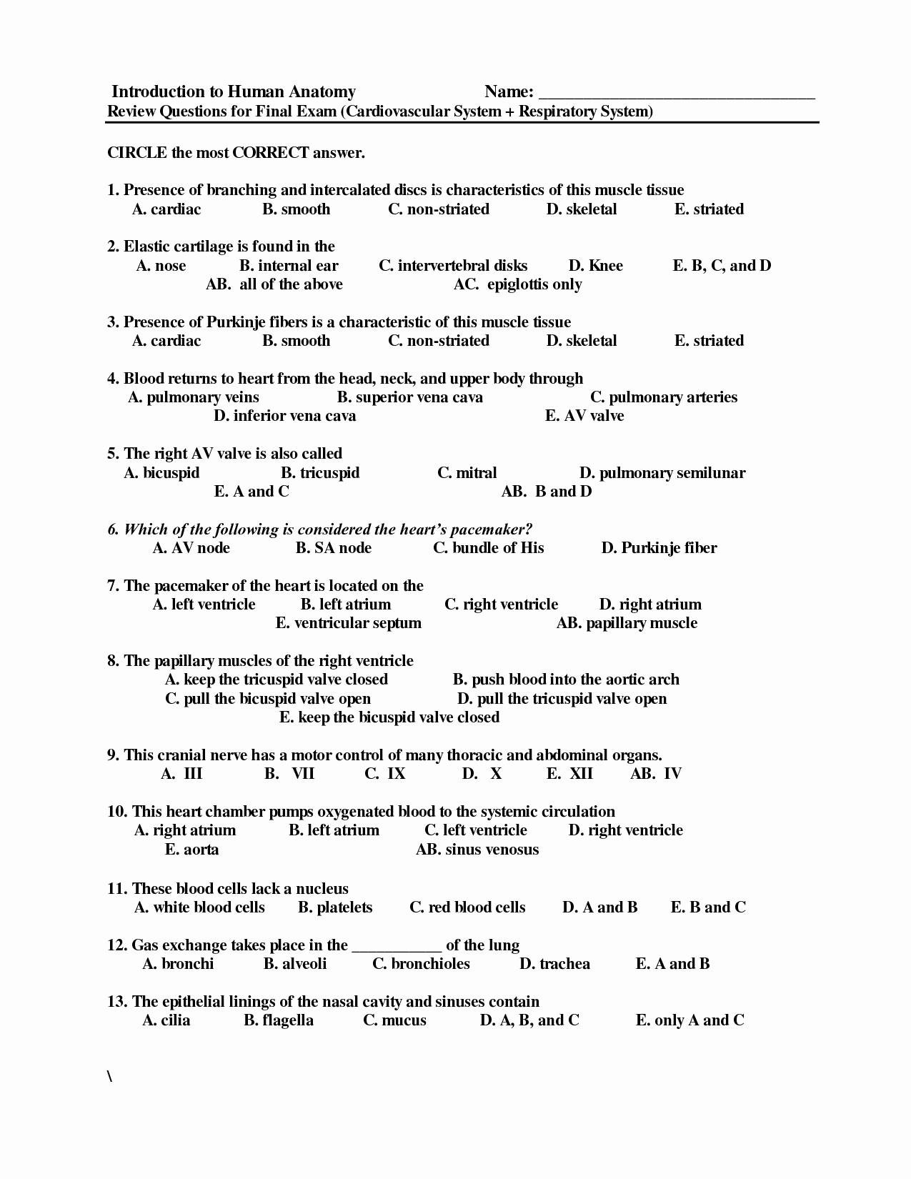 Respiratory System Worksheet Answer Key Luxury 9 Best Of Anatomy Review Worksheet Name Lab Time