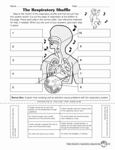 Respiratory System Worksheet Pdf Luxury 15 Best Of 5 Senses Worksheets for 4th Grade 2