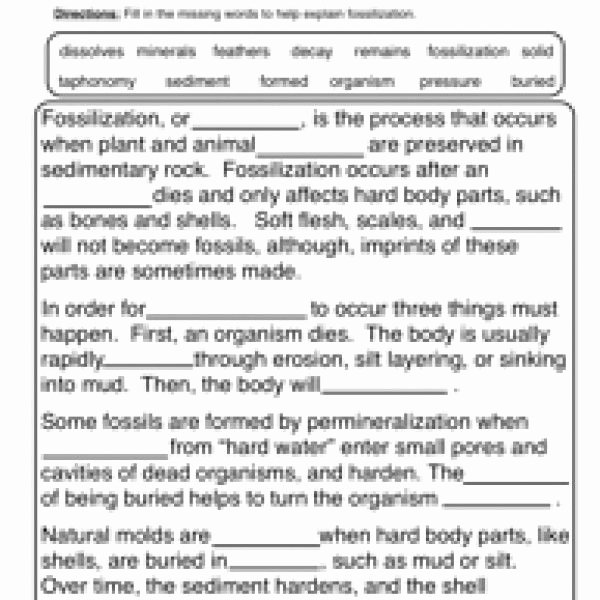 Rock Cycle Worksheet Middle School Luxury Fossils Worksheet Fill In the Blank