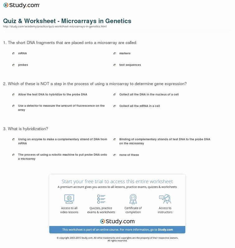 Rules Of Exponents Worksheet Pdf New Exponents Worksheets Pdf
