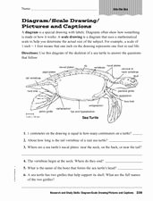 Scale Drawings Worksheet 7th Grade Luxury Diagram Scale Drawing and Captions Worksheet for