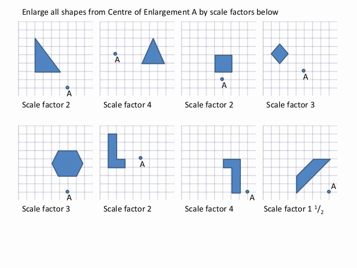 Scale Factor Worksheet 7th Grade Beautiful Enlargements Worksheet