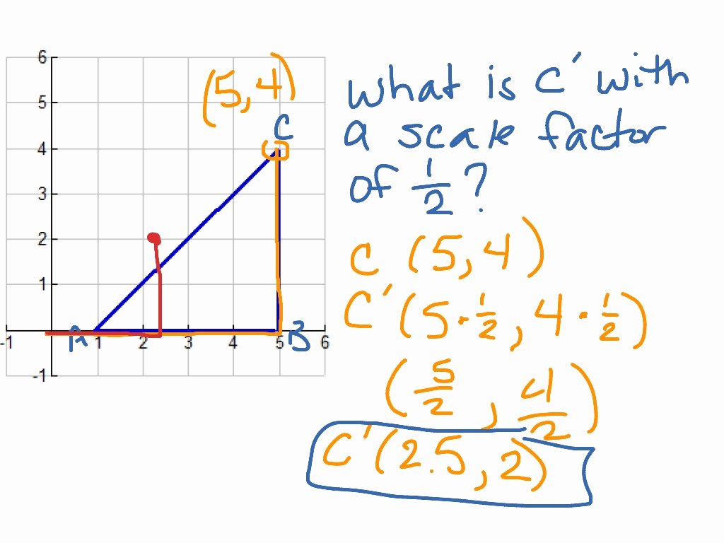 50 Scale Factor Worksheet 7th Grade